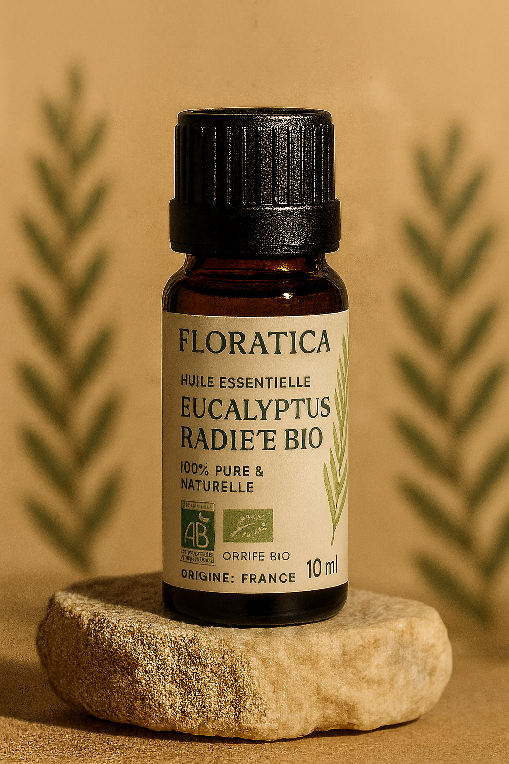 EUCALYPTUS RADIE BIO - Huile essentielle - eucalyptus radiata - 10ml