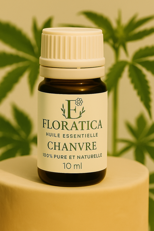 CHANVRE - Cannabis Sativa - Huile essentielle
